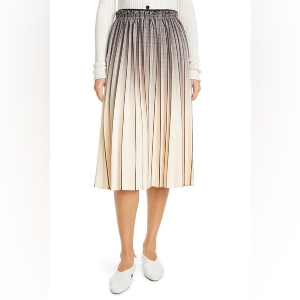 Proenza Schouler Ombré Pleated Knee Skirt